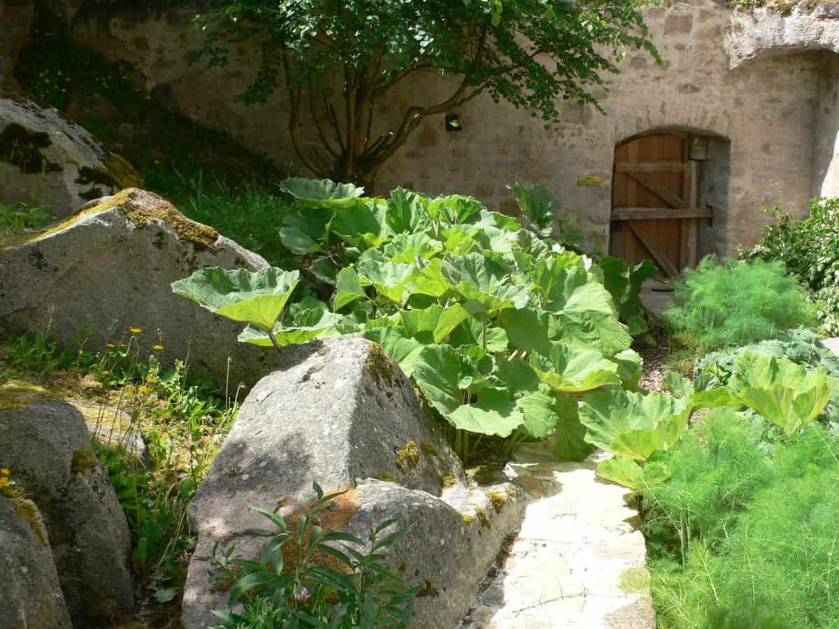 Château médiéval du Hohlandsbourg - Mutabilis