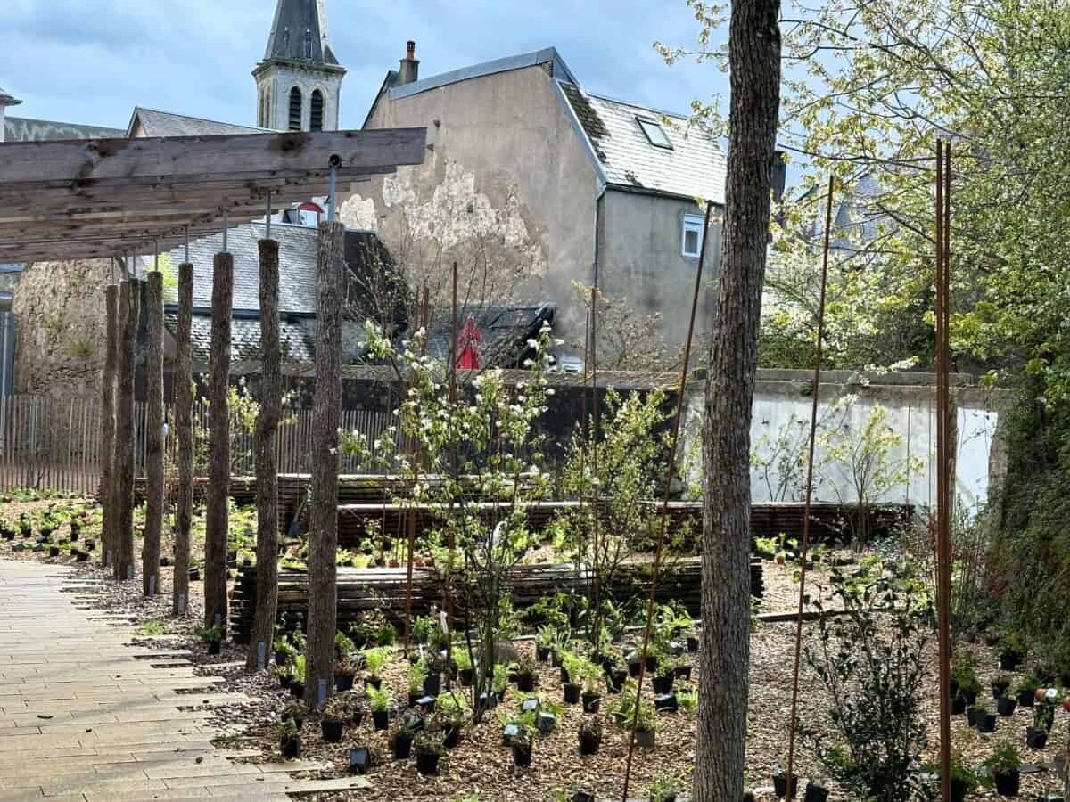 Création de la Cité Muséale - Mutabilis