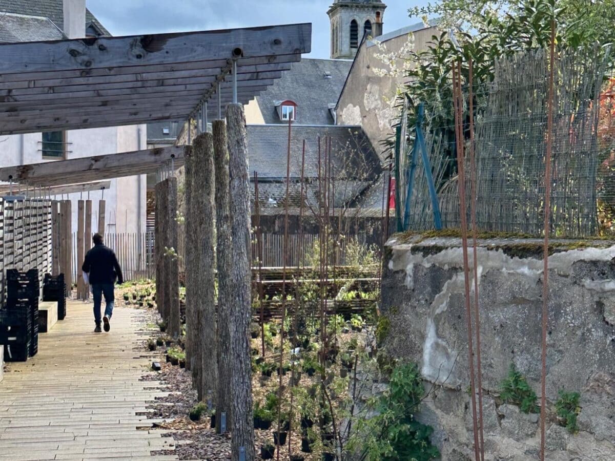 Création de la Cité Muséale - Mutabilis