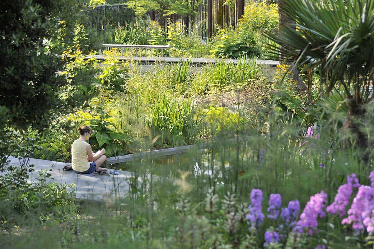 Jardin des Géants - Mutabilis