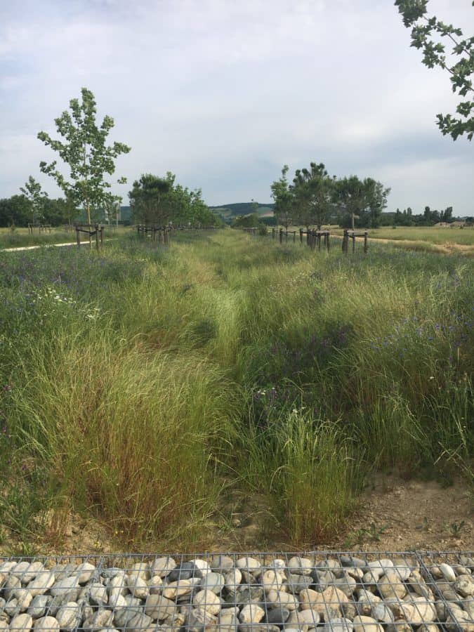 Les Portes du Tarn – Quartier d’activité - Mutabilis