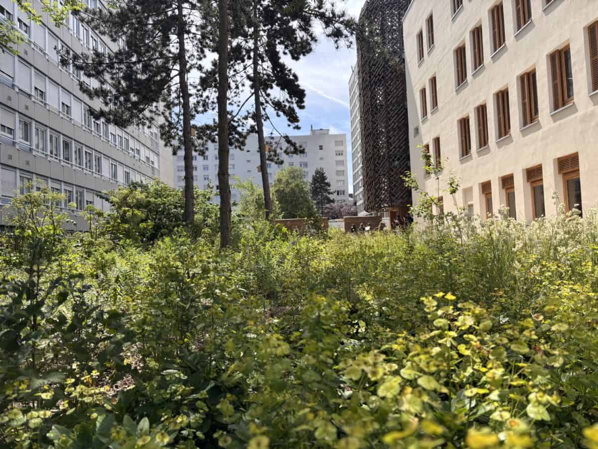 Médiathèque James Baldwin et Maison des Réfugiés - Mutabilis