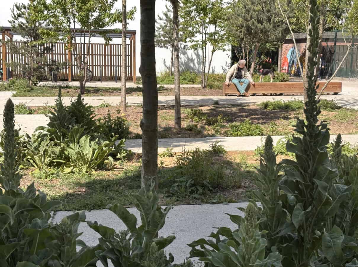 Médiathèque James Baldwin et Maison des Réfugiés - Mutabilis