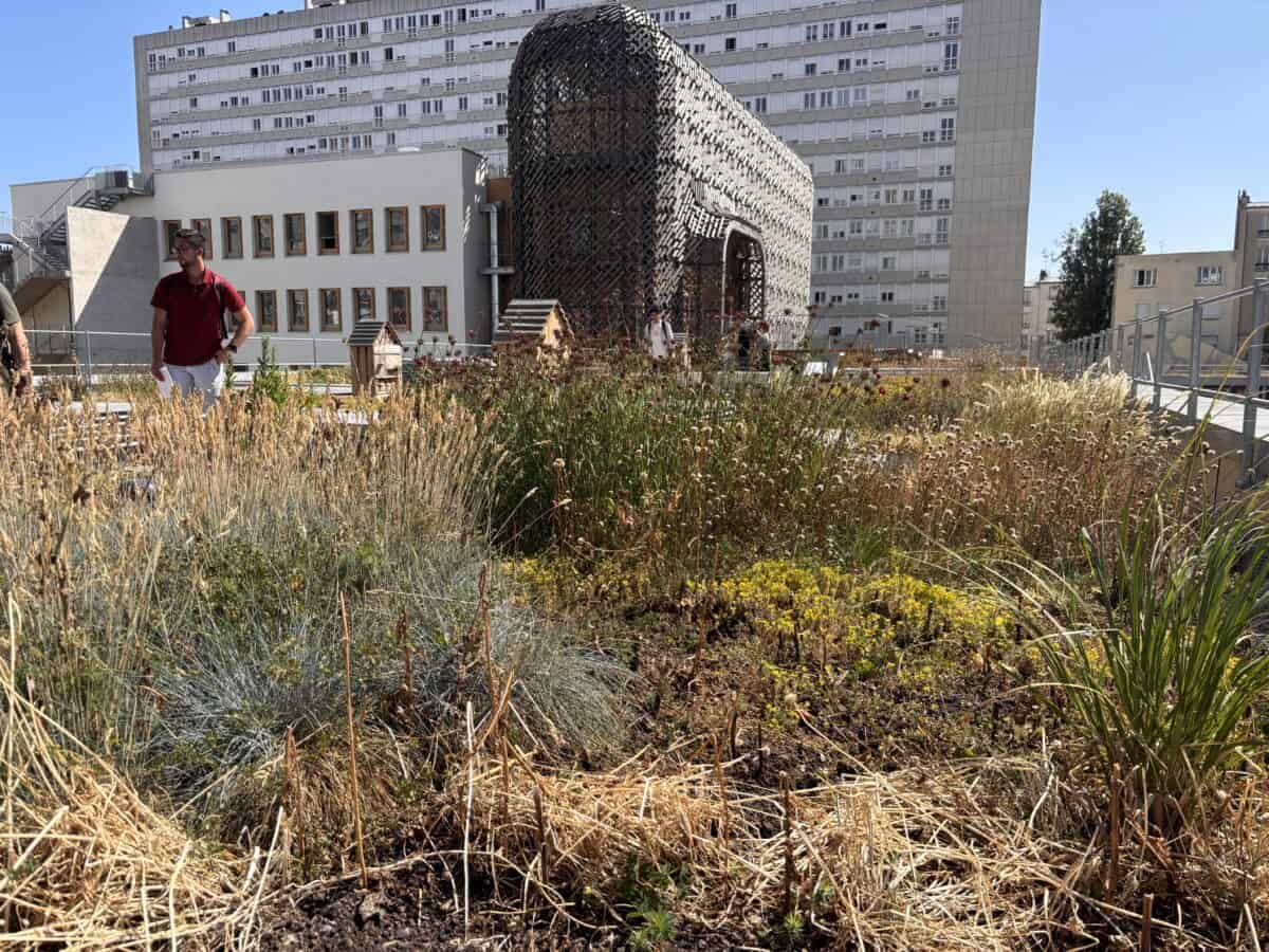 Médiathèque James Baldwin et Maison des Réfugiés - Mutabilis