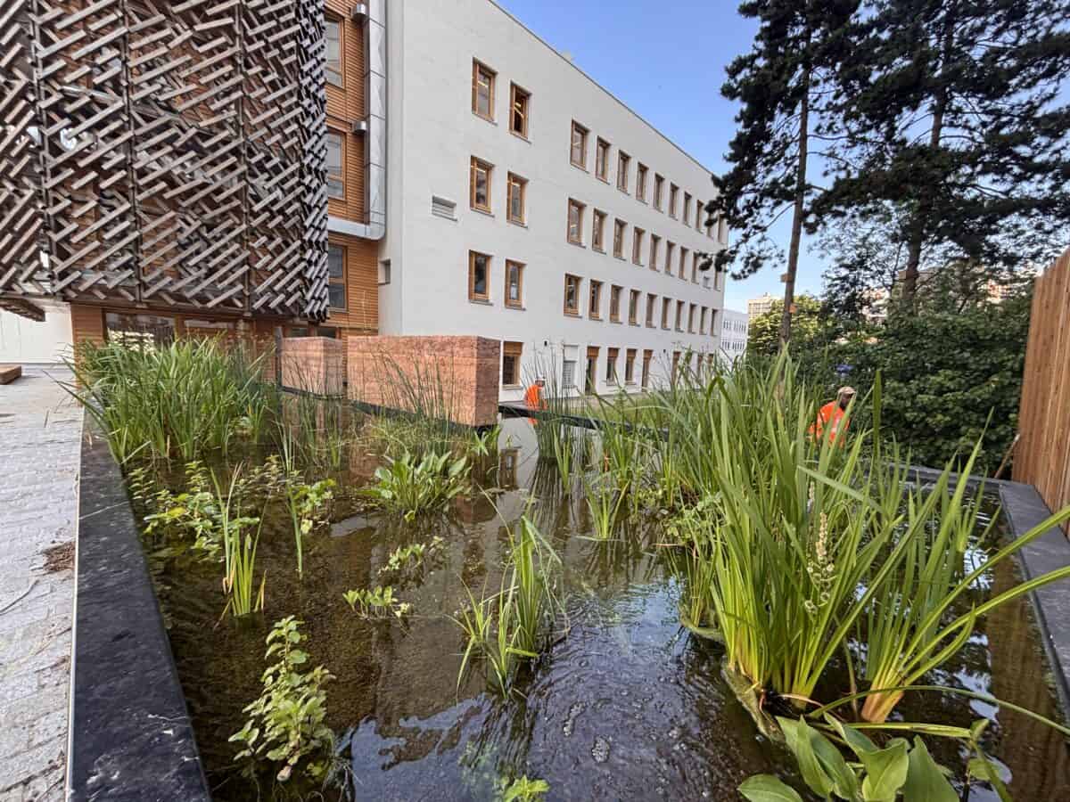 Médiathèque James Baldwin et Maison des Réfugiés - Mutabilis