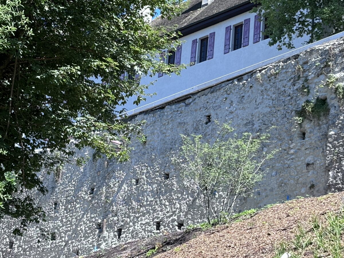 Parc du Léman - Mutabilis