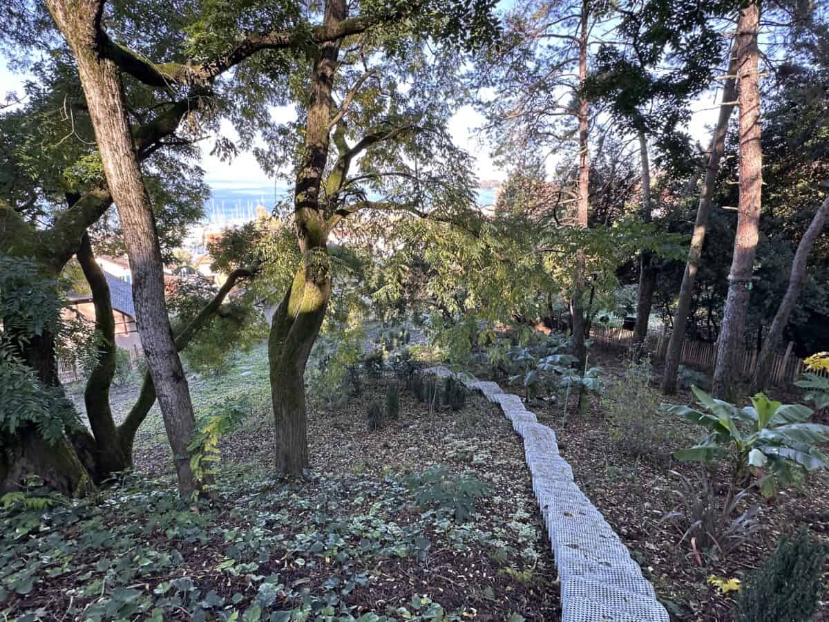 Parc du Léman - Mutabilis