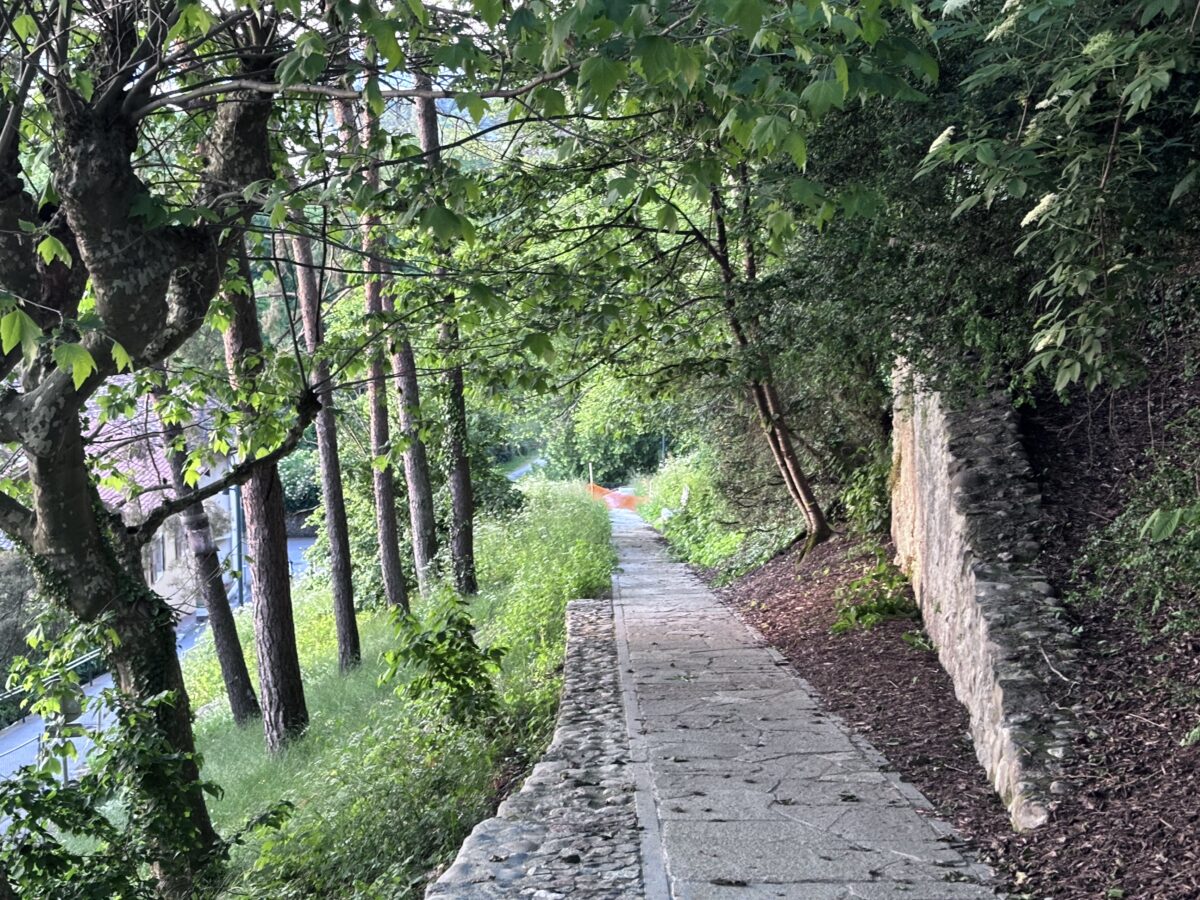 Parc du Léman - Mutabilis