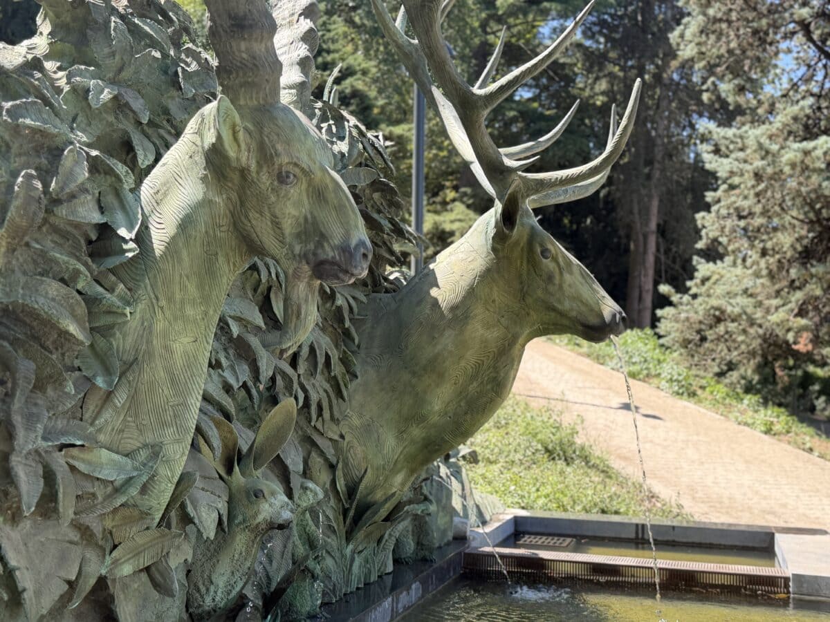 Parc du Léman - Mutabilis
