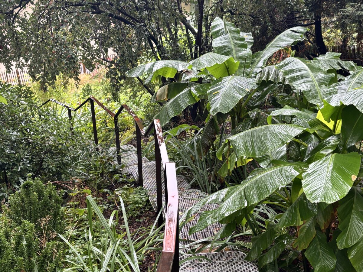 Parc du Léman - Mutabilis
