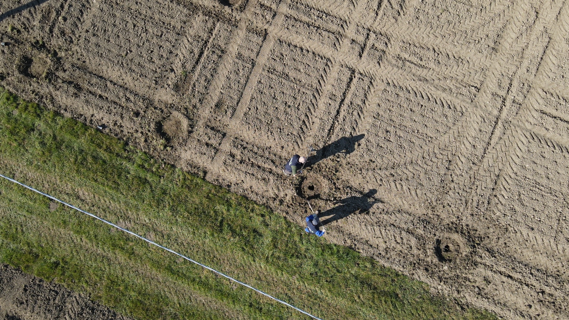 Mutti kicks off Mille Querce, a widespread reforestation project in the Parma area