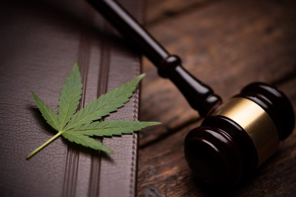 marijuana leaf and gavel