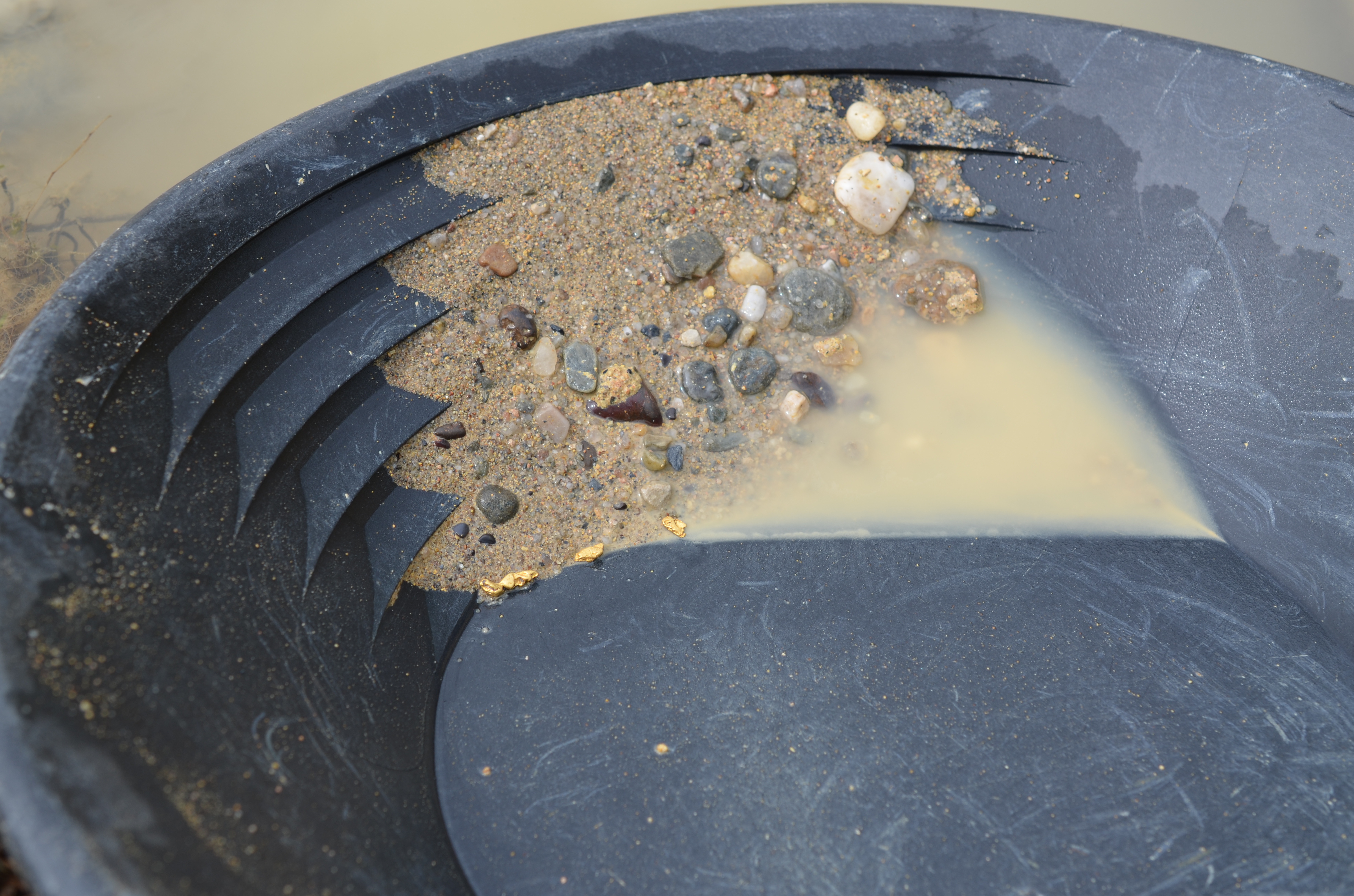 A black gold pan, chosen with care using tips from Choosing the Right Gold Pan: A Beginner's Buying Guide, is filled with sand, gravel, and a few gold flakes as it sits partially submerged in muddy water.