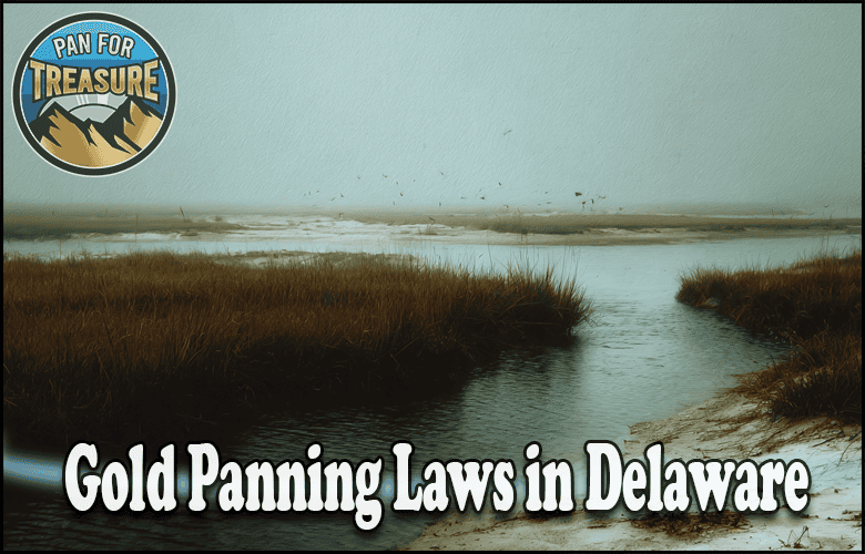 A foggy marsh landscape with tall grasses, a winding stream, and the text "Gold Panning Laws in Delaware" highlights where you can pan for treasure responsibly under local regulations.