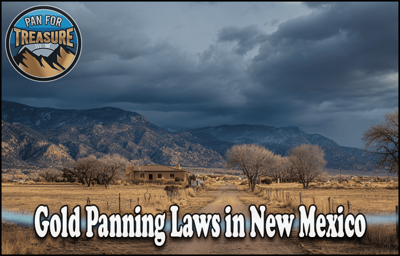A rural New Mexico landscape with mountains, cloudy sky, and a distant house sets the scene for text: "Gold Panning Laws in New Mexico." The top left corner features the "Pan for Treasure" logo.