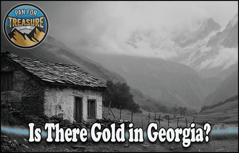 Read more about the article Is There Gold in Georgia? Top Locations and if It’s Worth the Trip