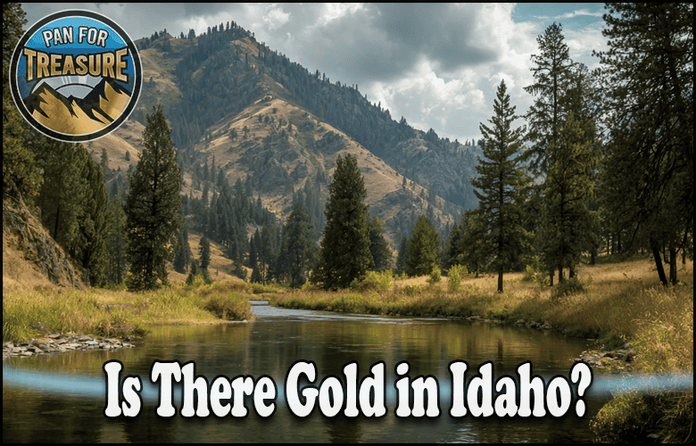 Read more about the article Is There Gold in Idaho? Top Locations and if It’s Worth the Trip