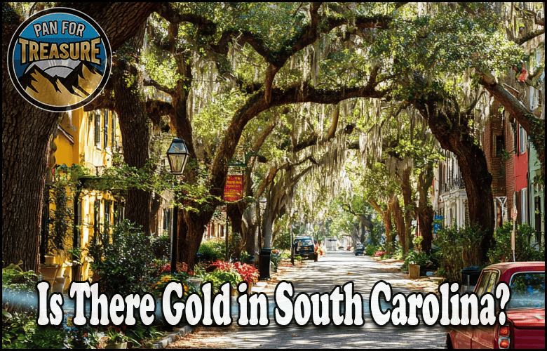 Read more about the article Is There Gold in South Carolina? Top Locations and if It’s Worth the Trip