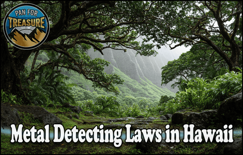 Read more about the article Metal Detecting Laws in Hawaii – Public Land, Parks, and Beach Rules