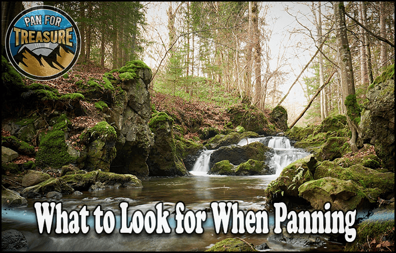 A forest stream with moss-covered rocks and small waterfalls, featuring a badge that says "Pan for Treasure" and the text "What to Look for When Panning for Gold.