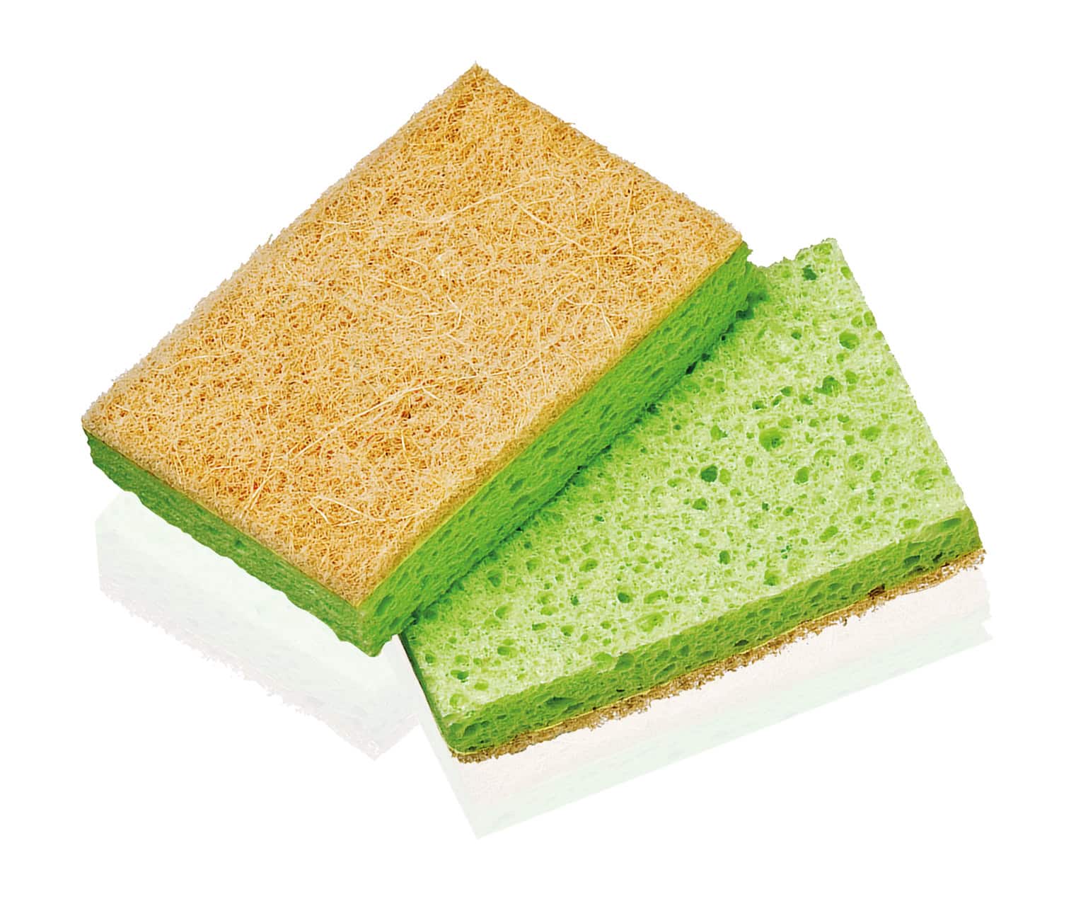 ECOSPONGE