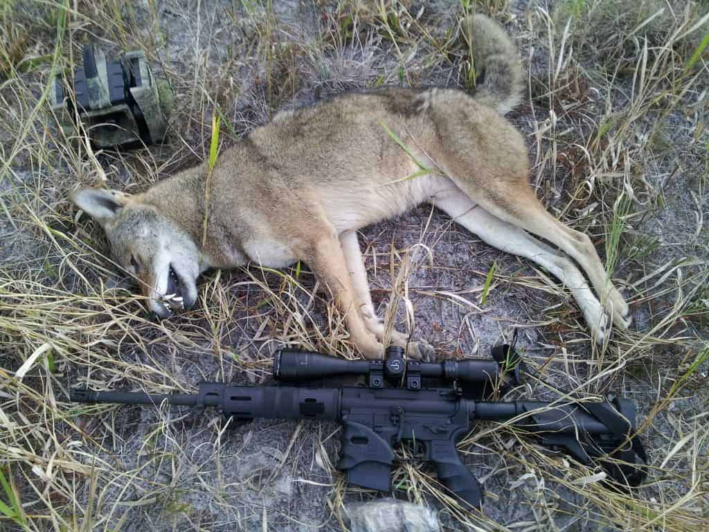 Primos Alpha Dogg Electronic Predator Call - proHuntingHacks