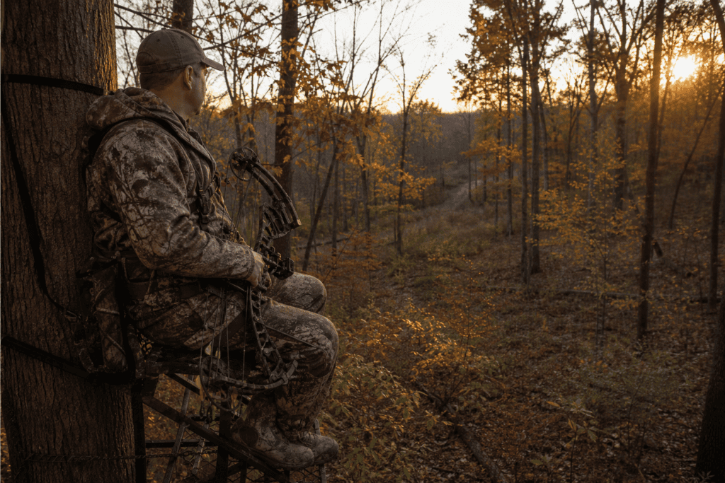 Compound-bow hunter using a sight from a secured treestand in autumn whitetail woods
