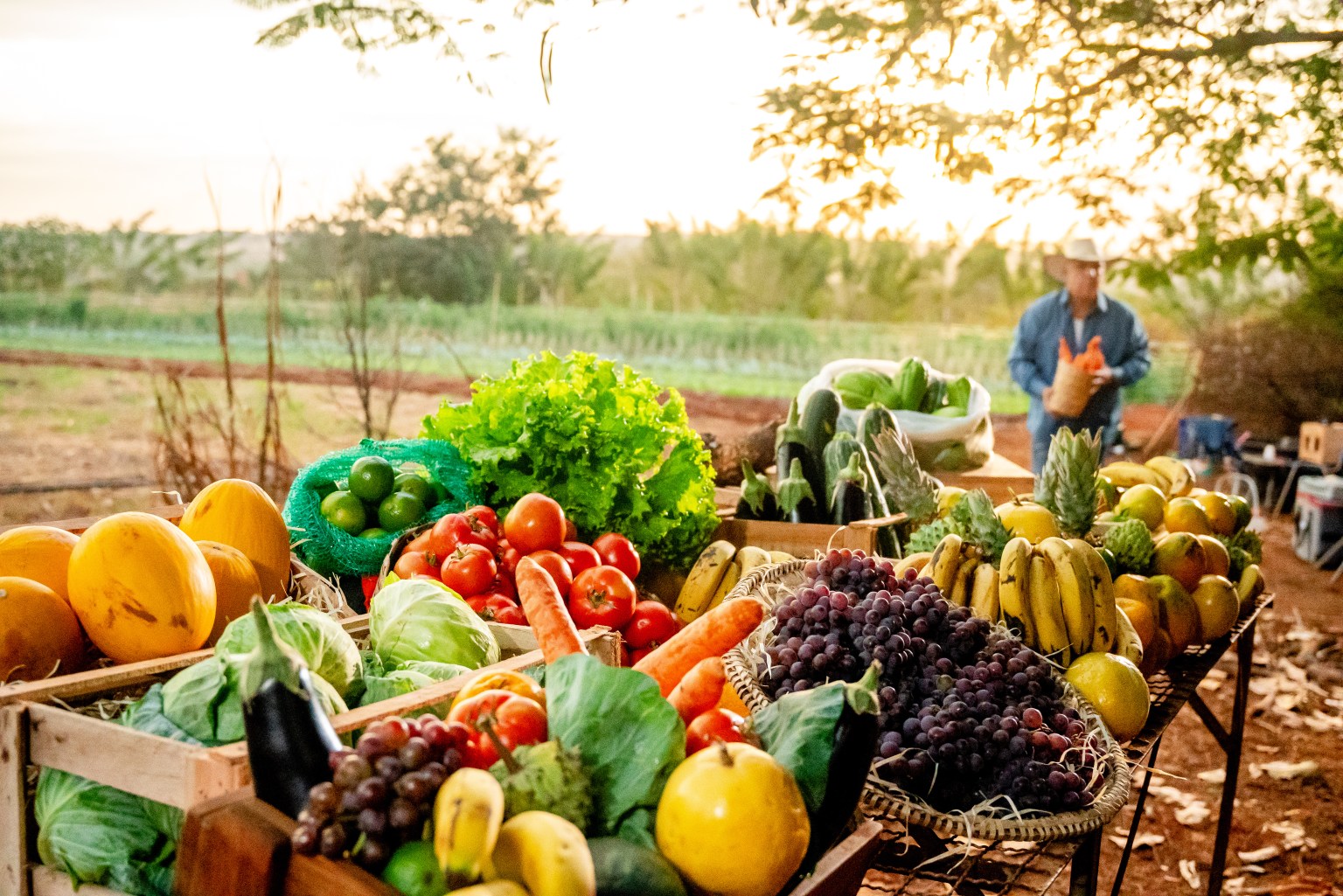 Fresh fruits and vegetables displayed at a local farm market with a farmer in the background