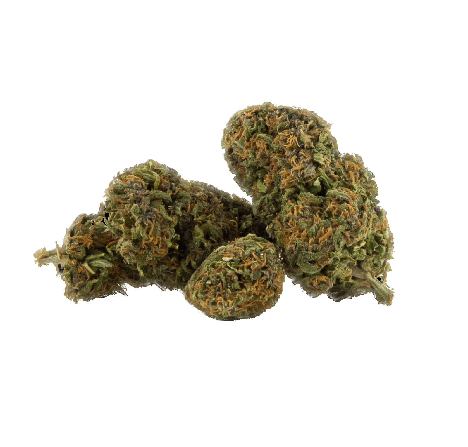 Gelato CBD legal weed