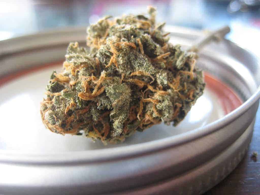 Resultater af THCA-narkotest.