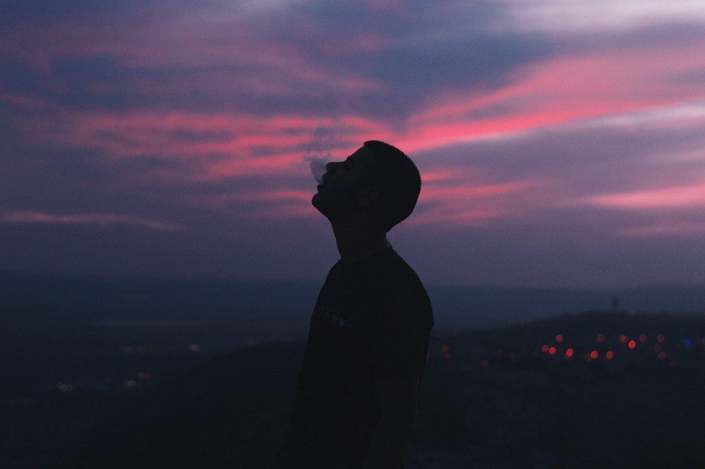 Seneste berømte cannabisbrugere.