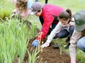 Eco SF School Farm Volunteer Work Day | SF
