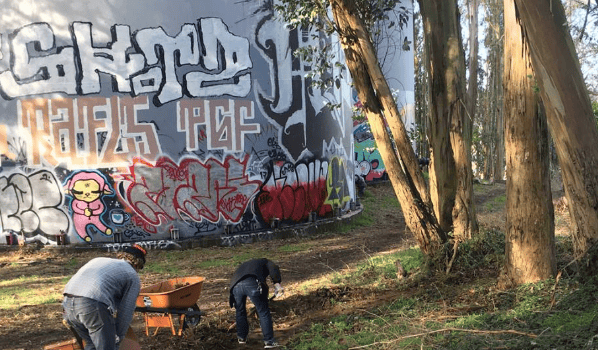 Trail & Habitat Volunteer Work: Restoring Laguna Honda's Lost Trails 