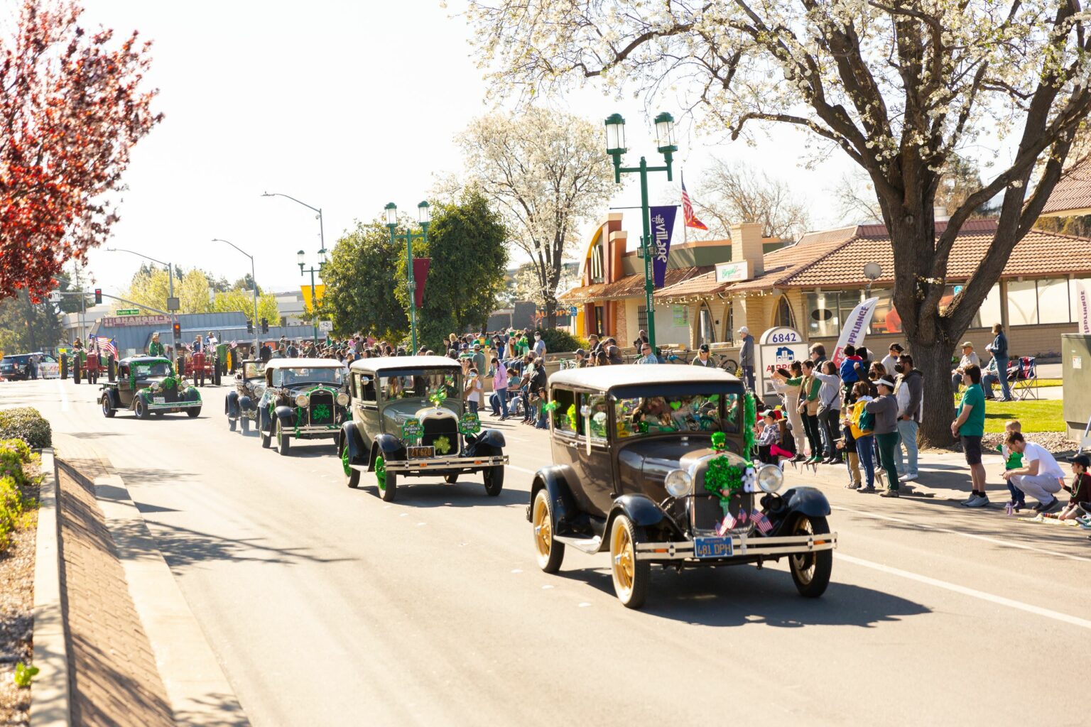 Dublin's St. Patrick’s Day Festival & Parade 2025 (March 1516)