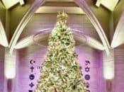 2025 World's Largest Origami Tree "Tree of Hope" Lighting Ceremony (Grace Cathedral)