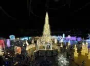 "Enchant" 2024: World's Largest Christmas Light Maze in San Jose (Christmas Day)