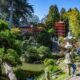 Free Day at GG Park's "Japanese Tea Garden" on Mother's Day 2025 (SF Residents)