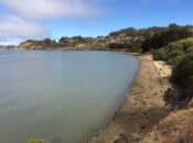 Brand New 80-Acre Waterfront Park Coming to East Bay