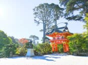 Built in 1894, SF's Japanese Tea Garden Stuns w/ Newly Revamped Pagoda Plaza