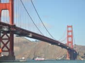 "Red, White, and Grinched" SF's Holiday Brunch Cruise (2024)