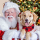 Pet Photos with Santa (Pleasanton)