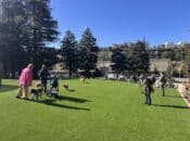 SF's Dogpatch Park Gets Makeover for First Time in 43 Years