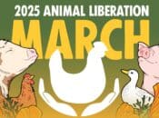 2025 Animal Liberation March (Petaluma)