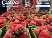 Castro Farmers' Market 2025 (Every Wednesday)