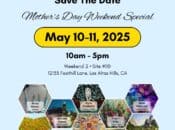 Silicon Valley Open Studios (SVOS) 2025: Weekend 2 - Day 1 of 2