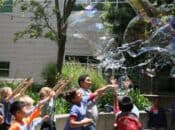 Bubblefest