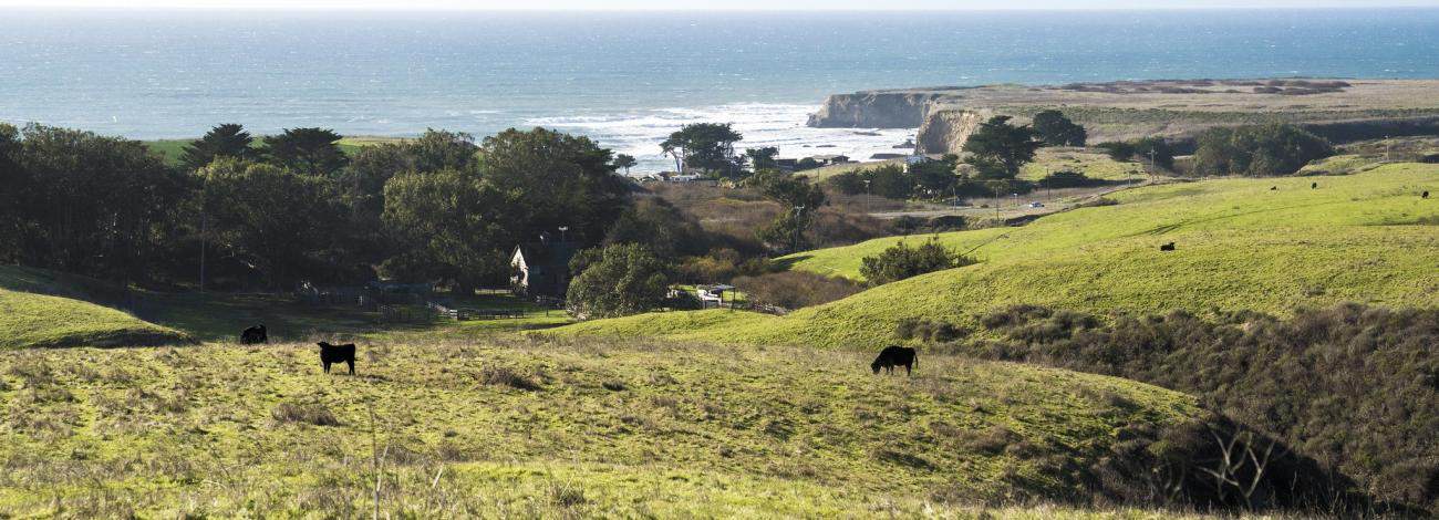 New National Monument Near Santa Cruz w/ Ocean View Trails