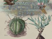 2025 Succulent Expo & Plant Sale in Golden Gate Park (June 14-15)