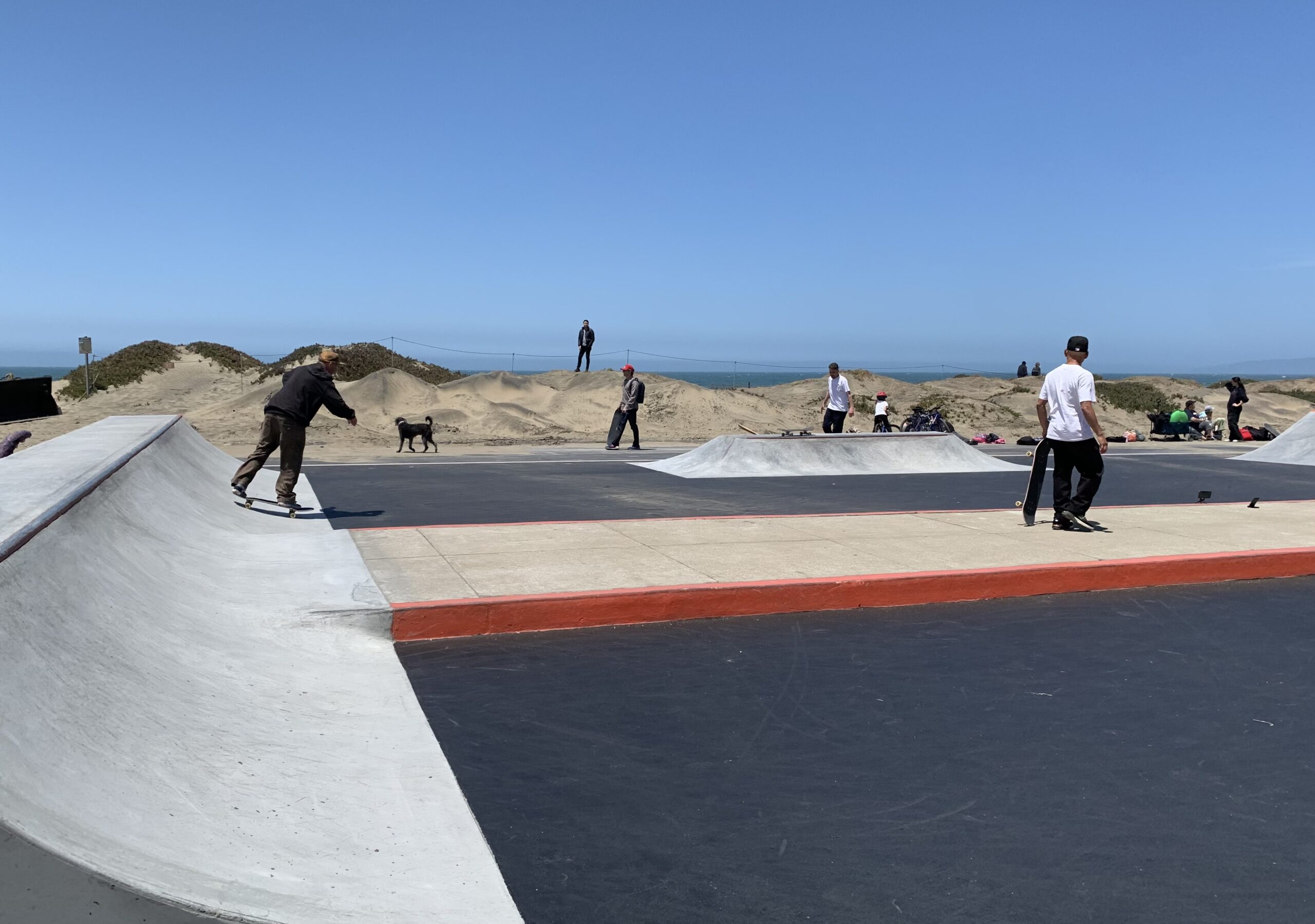 SF's New Coastal Skate Park Opens at Sunset Dunes