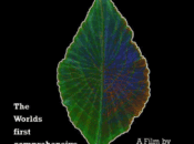 Discover Salvia: Free Film on Psychedelics (SF)